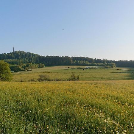 Ferienwohnung Am Hochkelberg Bereborn المظهر الخارجي الصورة