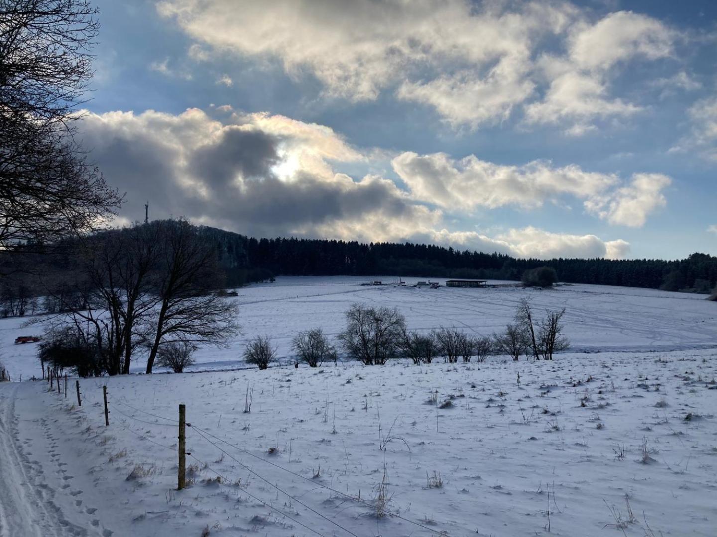 Ferienwohnung Am Hochkelberg Bereborn المظهر الخارجي الصورة
