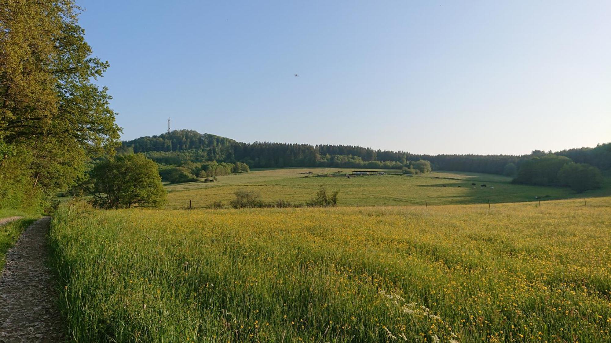Ferienwohnung Am Hochkelberg Bereborn المظهر الخارجي الصورة